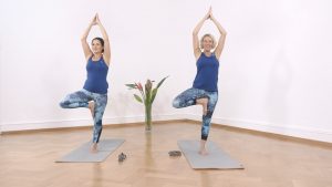 Yoga Anfänger Baumposition